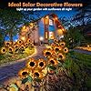 Solar Sunflower Light
